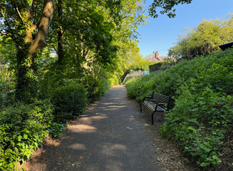 A sunlit path winds through a park, flanked by lush greenery and a solitary bench. Dappled sunlight filters through the trees, creating a serene and inviting atmosphere in Woodhouse, Leeds, UK