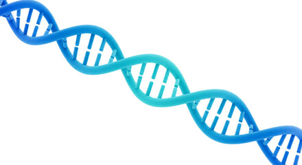 dna strand 3d render