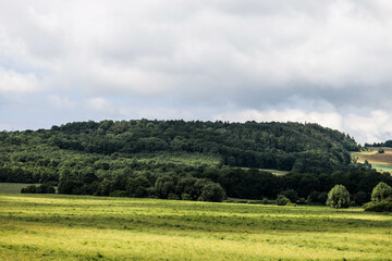 Fototapeta premium Wide Open Nature Fields and Forest Beneath the Sky