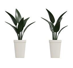 심플한 인테리어 화분 식물 3D 일러스트 / 3D Potted Indoor Plant Illustration