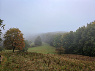 Fototapeta premium A quiet autumn morning at Faktor Meadow near Bánkút, a central hub for hikers in the Bükk Mountains.
