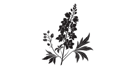 Elegant black delphinium flower branch with buds and leaves silhouette