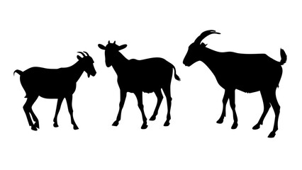 Obraz premium Majestic Goat Silhouettes A Trio of Farm Animals
