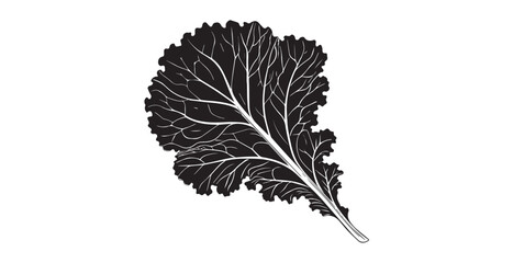 Detailed black and white illustration of a kale leaf silhouette