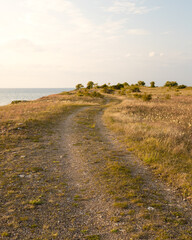 Rural gravel road through the seaside meadows on the limestone cliffs by Äleklinta on northern...