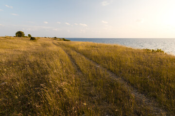 Seaside meadows on the limestone cliffs north by Äleklinta on northern Öland at sunset