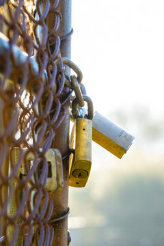 A close up of two padlocks on a locked gate