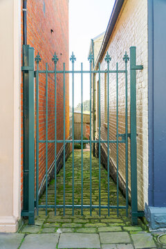 An ornate steel gate blocking a narrow mossy alley