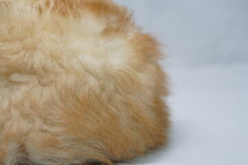 Close-up of a soft, light orange-brown sheepskin or shearling texture, ideal for cozy apparel.