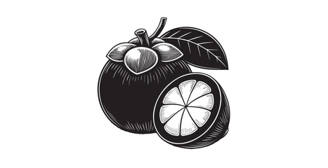 Whole and halved mangosteen fruit with leaves engraving style silhouette