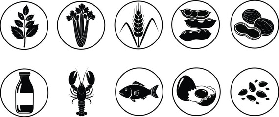 Vector art of a set of allergen icons featuring common food allergens like nuts, dairy, and gluten, isolated on white background