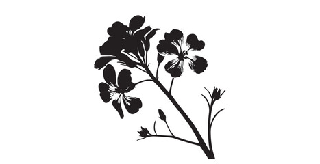 Delicate geranium flowers in dramatic black and white silhouette