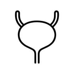 anatomical bladder icon vector on white background
Human anatomical organ
