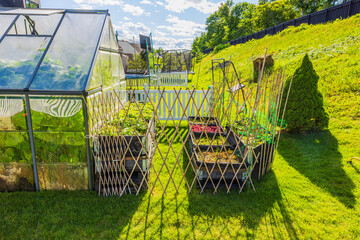 Raised garden beds with vegetables and seedlings near glass greenhouse on sunny green lawn. Sweden.