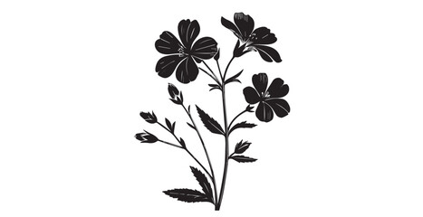 Elegant black and white floral illustration with detailed petal linework silhouette
