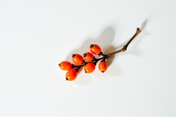 A bunch of orange berries on a white surface.