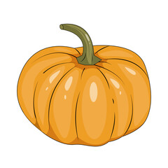 Bright orange pumpkin for decorating a holiday or event
