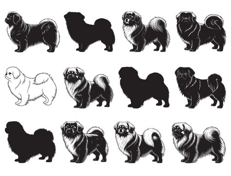 TIBETAN SPANIEL DOG SILHOUETTE