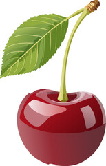 Cherry Fruit Vector – Ripe Red Cherry with Stem and Leaf Illustration