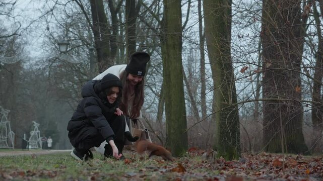 A family interacts with urban wildlife as a boy and his mother feed a squirrel by hand. The son playfully teases the animal with a nut, and the woman then gently gives a treat to the squirrel.