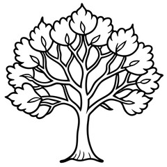 Obraz premium Fig Tree line art vector