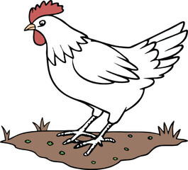 Cute vector illustration of a white hen standing on the ground. Perfect for farm labels, kids’ books, and poultry branding.