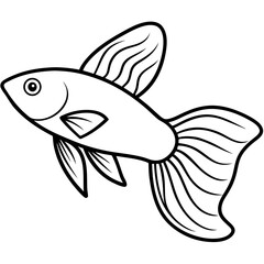 Guppy line art vector