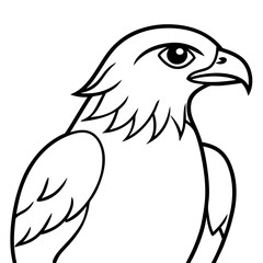 Hawk line art vector