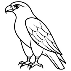 Hawk line art vector