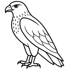 Hawk line art vector