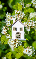 The symbol of the house among the branches of the hawthorn
