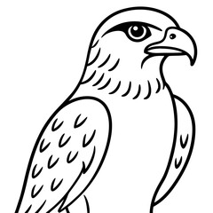 Hawk line art vector