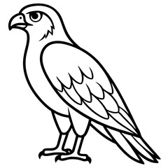 Obraz premium Hawk line art vector
