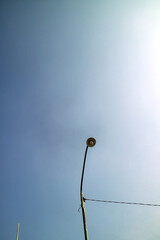 Solitary Streetlamp Against Blue Sky