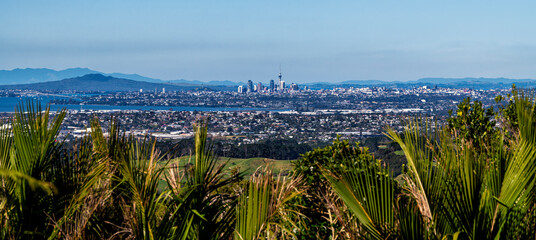 The skyline of Auckland, city of sailing, New Zealand