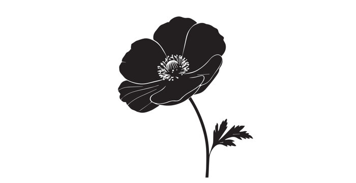 black anemone flower on white background clip art preview