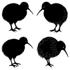 Four kiwi birds in black silhouette standing on a white background in various poses and orientations