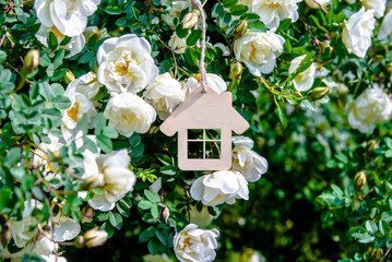 The symbol of the house among the branches of the white rose 