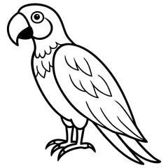 Macaw  line art vector
