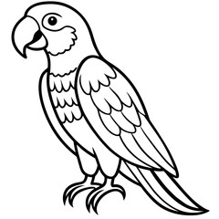 Fototapeta premium Macaw line art vector