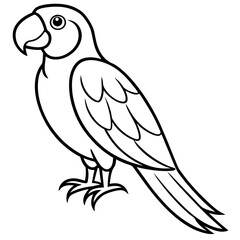 Macaw  line art vector