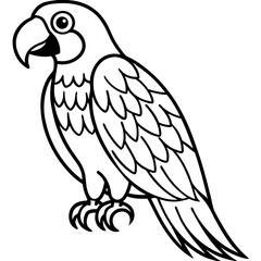 Macaw  line art vector