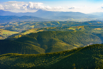 Atmospheric view of multiple mountain ridges covered with green coniferous forest and valleys,...