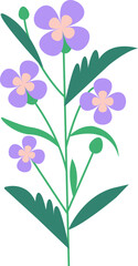 Lovely wild violet flower illustration perfect for spring and summer backgrounds

