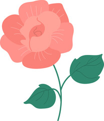 Single pink rose illustration perfect for spring and summer botanical decoration