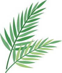 Tropical Palm Leaf Illustration Perfect for Spring and Summer Background Decor