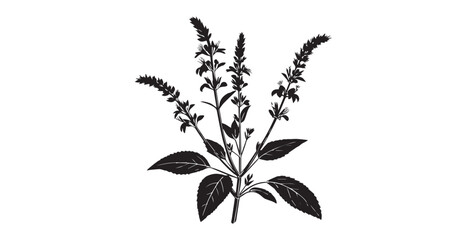 Detailed dark silhouette of a blooming plant with spiky flowers and leaves