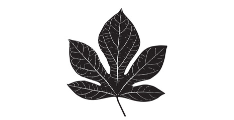 Detailed dark leaf with intricate white veins against a bright white background silhouette