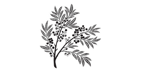 Stylized illustration of a branch with orange berries and detailed leaves silhouette