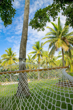 Relaxing on the hammock on the Tropical Island on a Beautiful Sunny Day